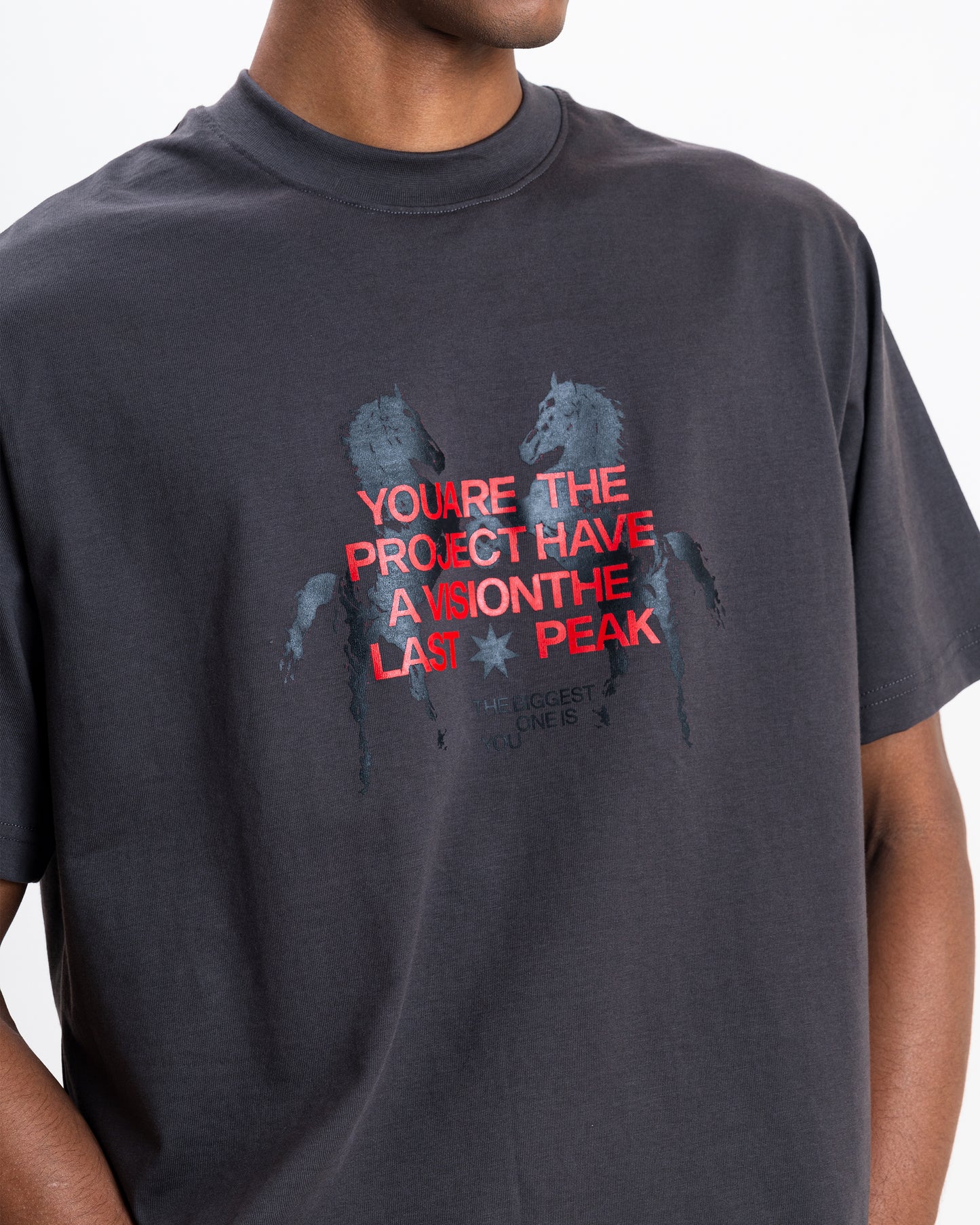 GRAPHITE ESSENTIAL T-SHIRT (Unisex)