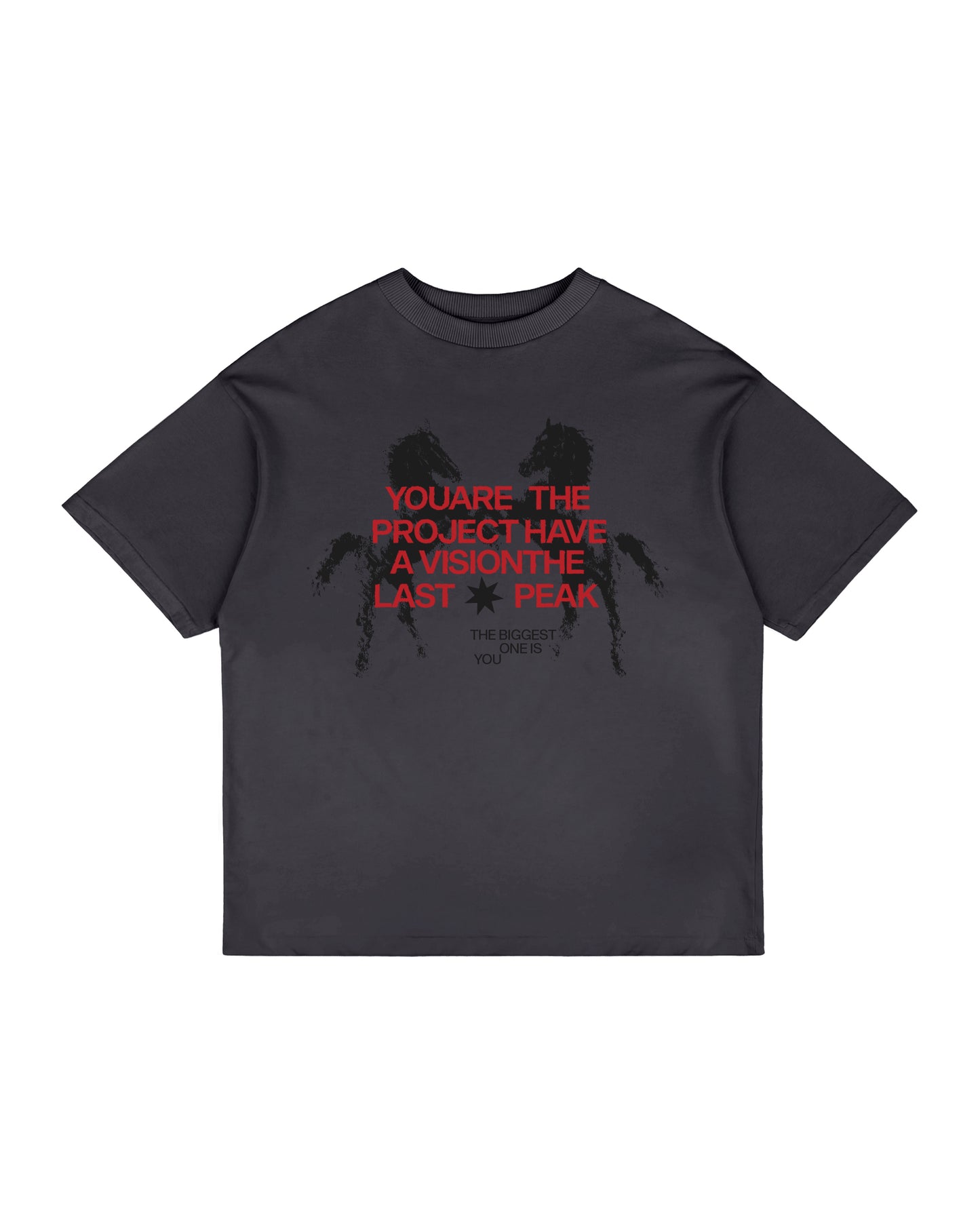 GRAPHITE ESSENTIAL T-SHIRT (Unisex)